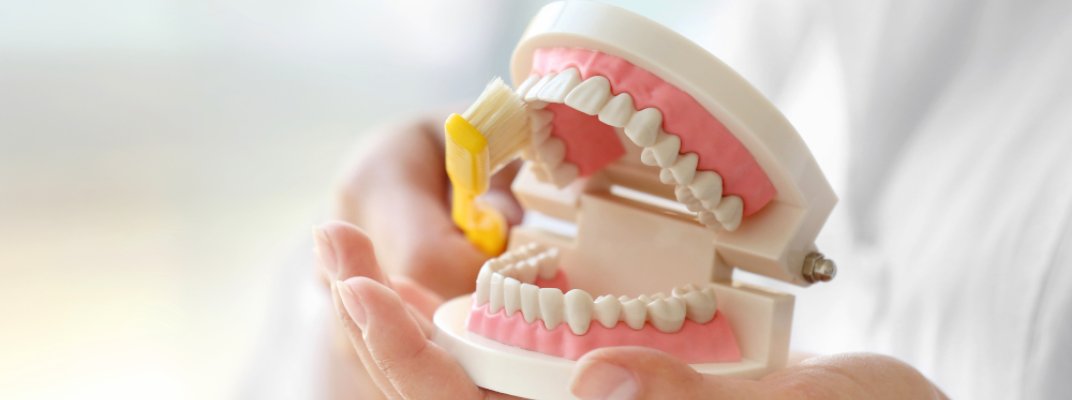 Estella Estetik | Diş Protezleri